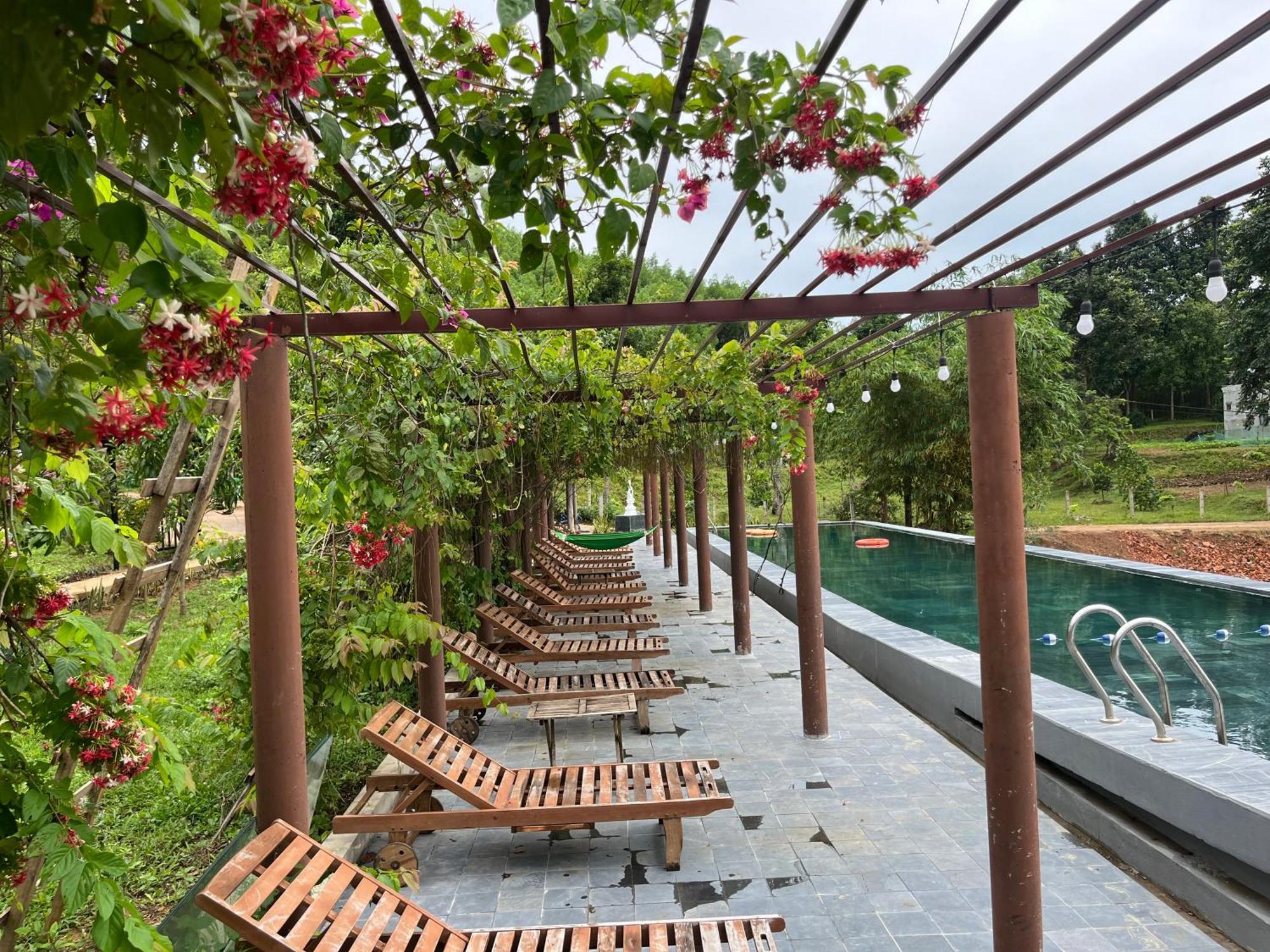 Nguyen Shack Retreat Resort Phong Nha Buitenkant foto
