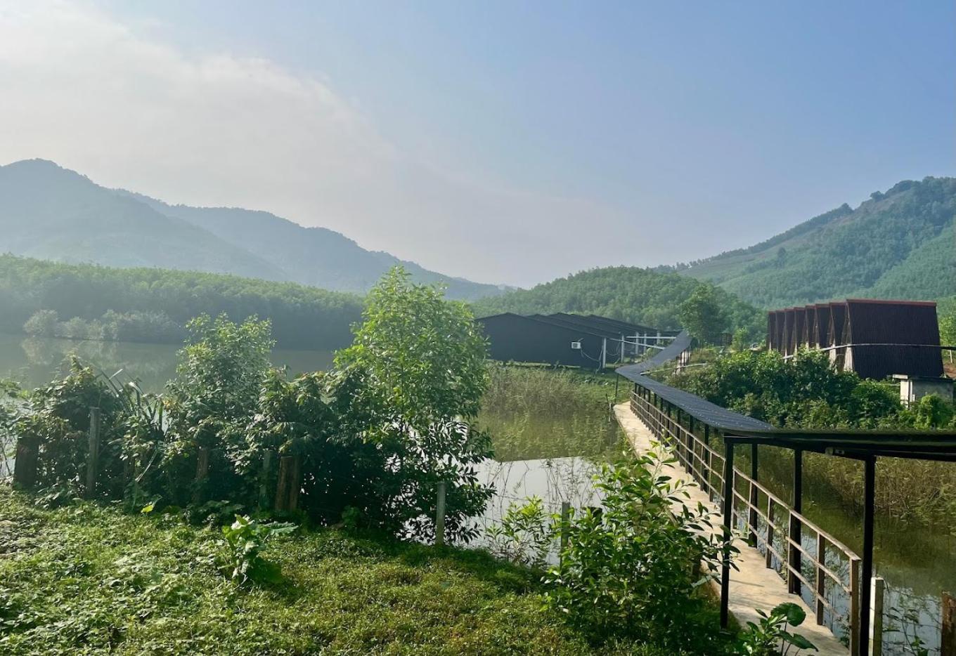 Nguyen Shack Retreat Resort Phong Nha Buitenkant foto