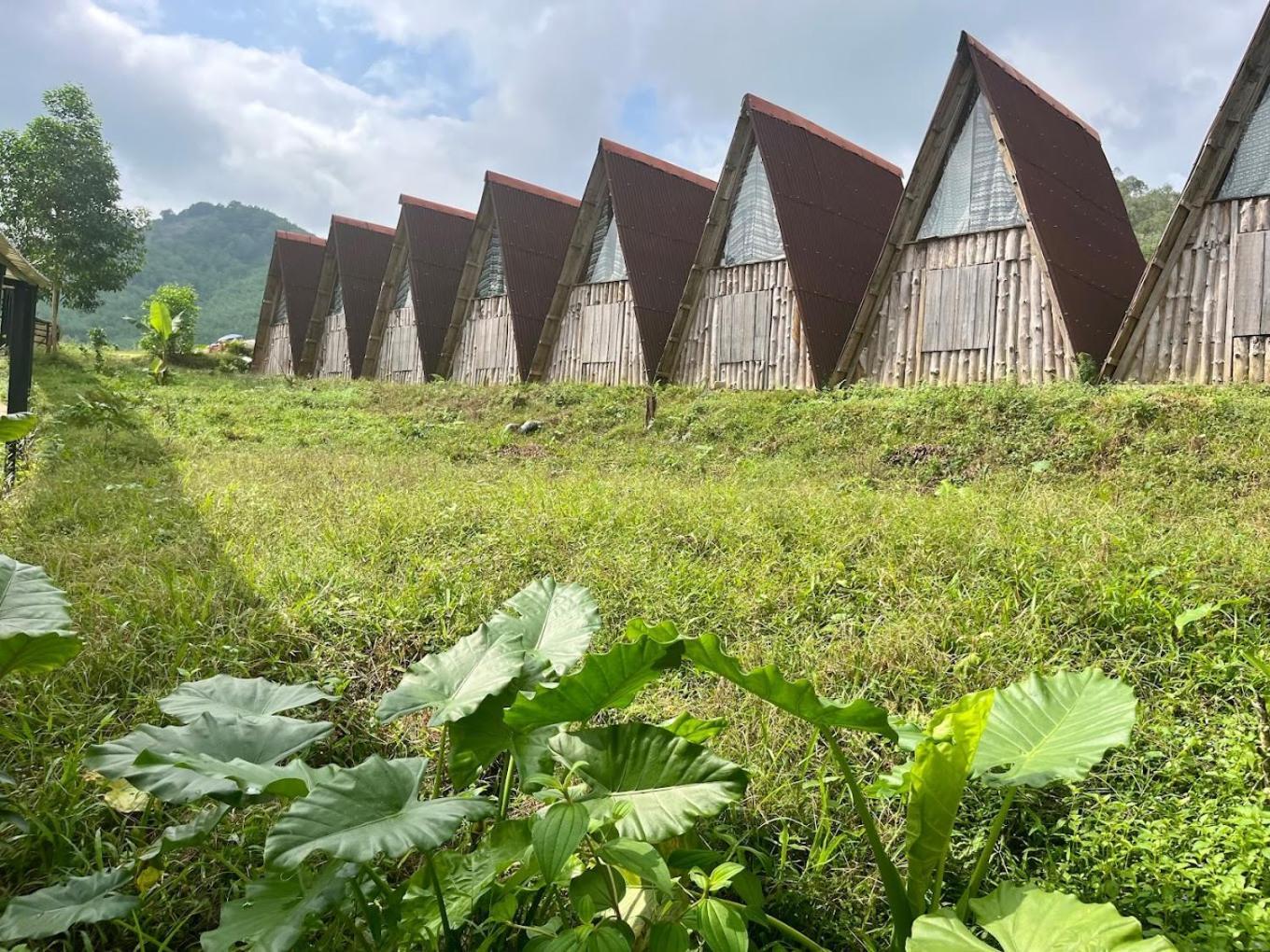 Nguyen Shack Retreat Resort Phong Nha Buitenkant foto